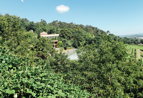 Casa de Sezim