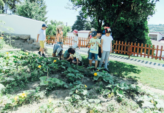 Horta Pedagógica